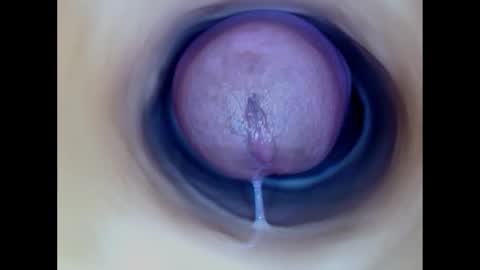 Paula 18 Aninhos online show from December 15, 2025, 4:33 pm