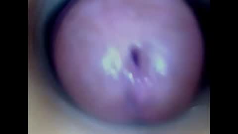 Snapshot of paulainoscente chatting on July 13, 2026, 2:09 pm Paula 18 Aninhos online show from July 13, 2026, 2:09 pm
