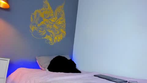 Paulina online show from December 2, 2024, 8:00 pm