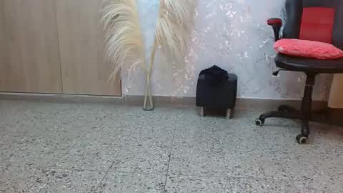 Paulina Rubio online show from December 7, 2024, 10:17 pm