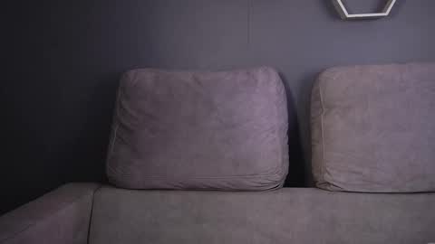 Paul Phoenix online show from February 10, 2026, 7:40 pm