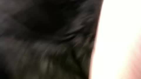 pauly online show from January 1, 2025, 11:16 am