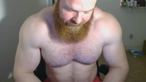 Pec inspector online show from February 13, 2025, 3:50 am