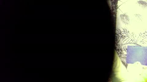 PedrOO OO online show from December 3, 2024, 8:49 am