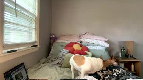 pegggggysue69 online show from March 20, 2026, 7:30 pm