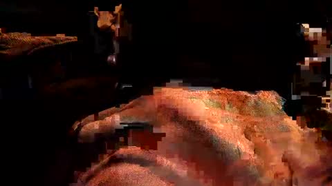 perfecto337 online show from February 9, 2025, 6:22 am