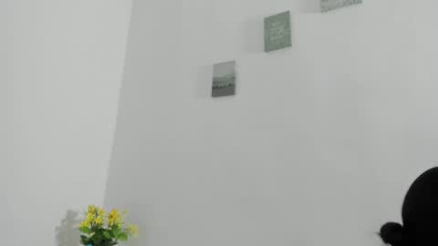 Perla mistc online show from April 10, 2026, 4:44 pm