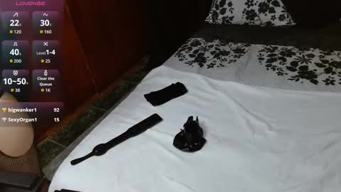 Snapshot of persefone_fire chatting on February 2, 2026, 9:52 am persefone_fire online show from February 2, 2026, 9:52 am