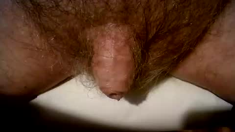 peterpeteropoulos online show from March 8, 2025, 9:08 pm