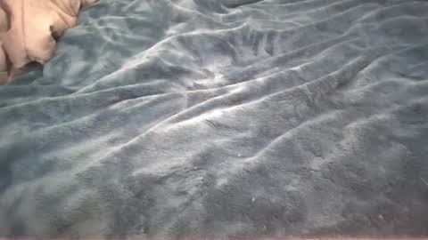 Little cupcake online show from February 26, 2025, 2:59 am