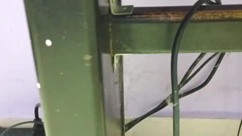 danna online show from December 23, 2024, 1:40 am