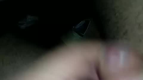 petrli online show from February 1, 2025, 5:37 pm