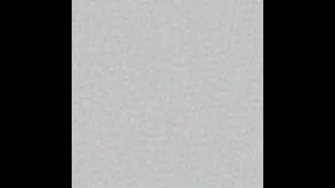 peytonn_monroe online show from October 9, 2025, 11:41 am