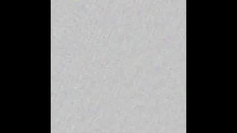 peytonn_monroe online show from November 18, 2025, 12:20 pm