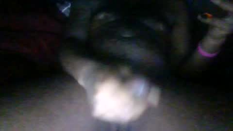 Phantomblaze online show from October 24, 2025, 5:04 am