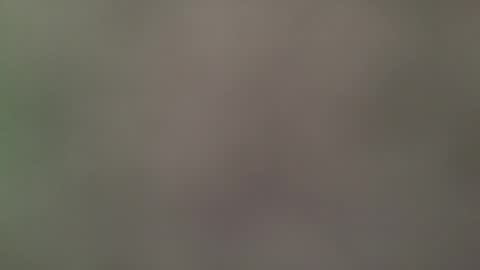 Its always better when its forbidden online show from April 27, 2026, 8:07 pm