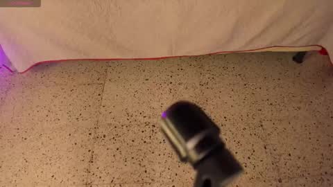 Milo online show from March 26, 2026, 11:38 am