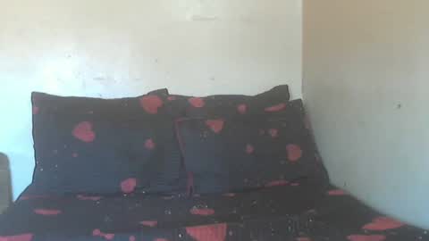 phoenixcandy online show from December 12, 2024, 10:02 am