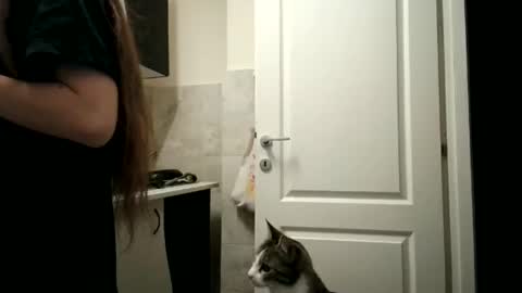 Moonie online show from December 15, 2025, 8:35 pm