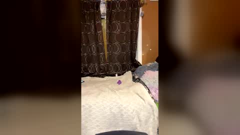 piecesxx online show from June 2, 2026, 5:42 am