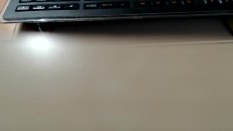 pier49x online show from December 22, 2024, 4:48 pm