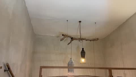 Trisha     online show from February 26, 2025, 12:03 pm