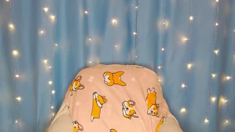 Pikachu pika online show from January 13, 2025, 1:23 am