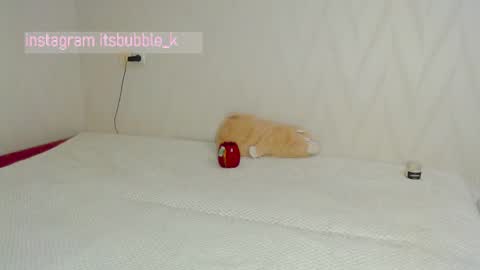 Pikachu pika online show from March 4, 2025, 11:00 pm