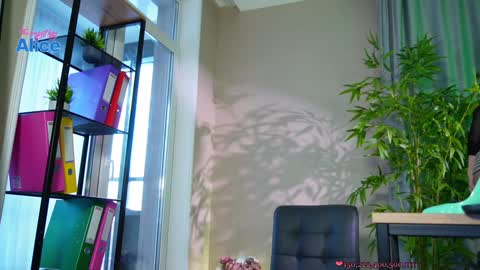 Alice   online show from December 20, 2024, 11:54 am