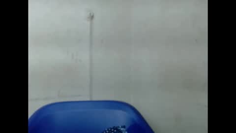 pinkxsugar online show from September 10, 2025, 6:13 am