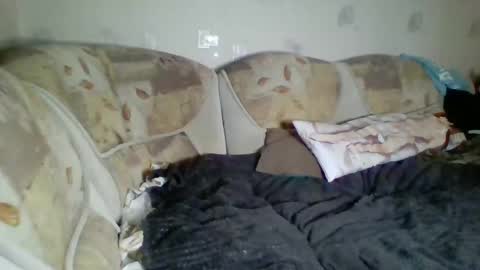 Snapshot of pinochetti chatting on January 3, 2025, 12:43 am Incubus online show from January 3, 2025, 12:43 am