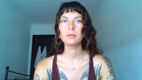 Snapshot of pixiecatfairy chatting on September 20, 2025, 1:23 pm pixiecatfairy online show from September 20, 2025, 1:23 pm