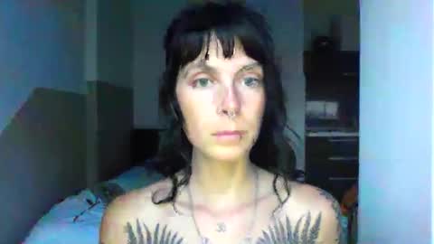 Snapshot of pixiecatfairy chatting on October 20, 2025, 3:45 pm pixiecatfairy online show from October 20, 2025, 3:45 pm