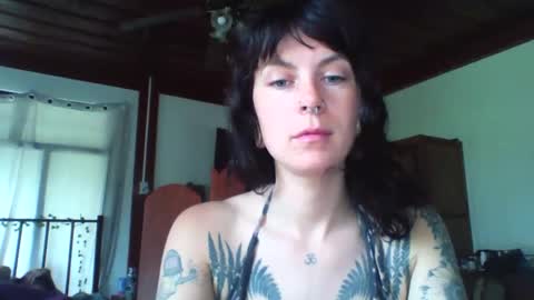 Snapshot of pixiecatfairy chatting on November 23, 2025, 3:17 am pixiecatfairy online show from November 23, 2025, 3:17 am