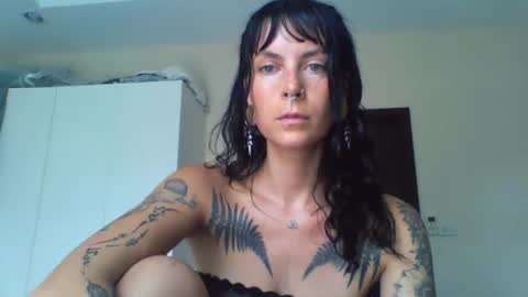 Snapshot of pixiecatfairy chatting on March 6, 2026, 6:10 am pixiecatfairy online show from March 6, 2026, 6:10 am