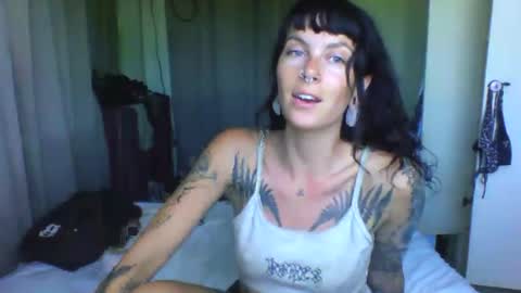 Snapshot of pixiecatfairy chatting on March 24, 2026, 6:40 am pixiecatfairy online show from March 24, 2026, 6:40 am