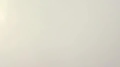 PeggedBiGuy online show from February 12, 2026, 8:53 am