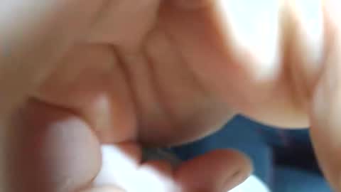 planta722 online show from April 4, 2026, 7:28 am