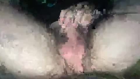 playwitityuh online show from September 27, 2025, 4:39 am