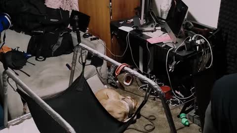 Snapshot of pnp385763 chatting on October 19, 2025, 1:23 pm Pup Seth online show from October 19, 2025, 1:23 pm