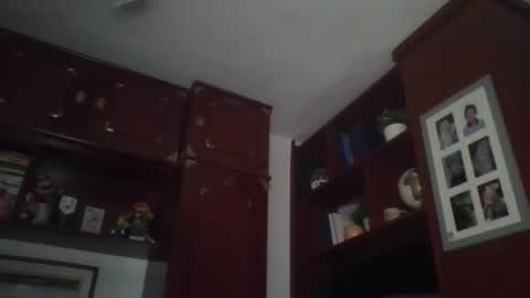 Snapshot of pocoyotop chatting on March 22, 2026, 12:47 am pocoyotop online show from March 22, 2026, 12:47 am
