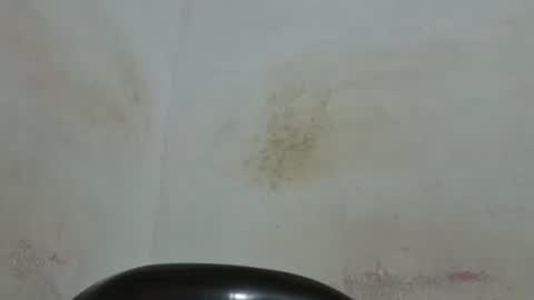 Snapshot of poli475 chatting on May 12, 2026, 2:52 am poli online show from May 12, 2026, 2:52 am