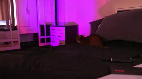 Megan.online  online show from September 17, 2025, 1:02 pm