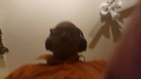 Phil online show from April 8, 2026, 7:19 am