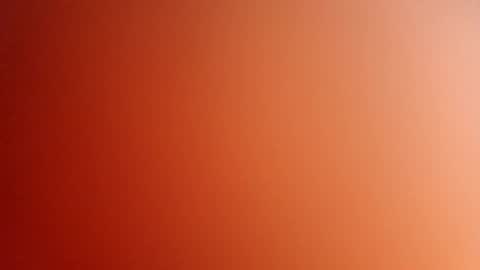 pop297248 online show from May 6, 2026, 2:00 pm