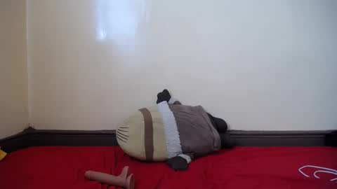 popetykely00 online show from February 18, 2025, 8:38 am