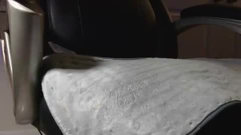 poppyntx online show from February 20, 2026, 3:36 am