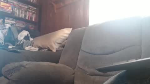 porkingit400 online show from February 14, 2025, 5:14 pm