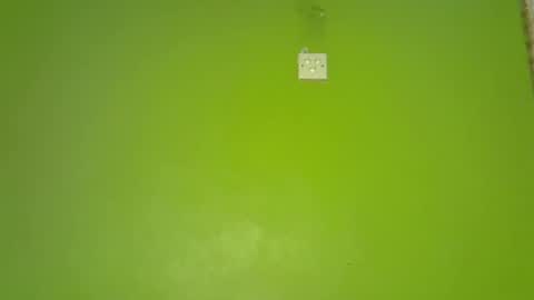 pretty_g2 online show from December 1, 2025, 5:01 am