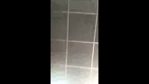 prettypinkpussy615 online show from March 8, 2026, 9:40 pm